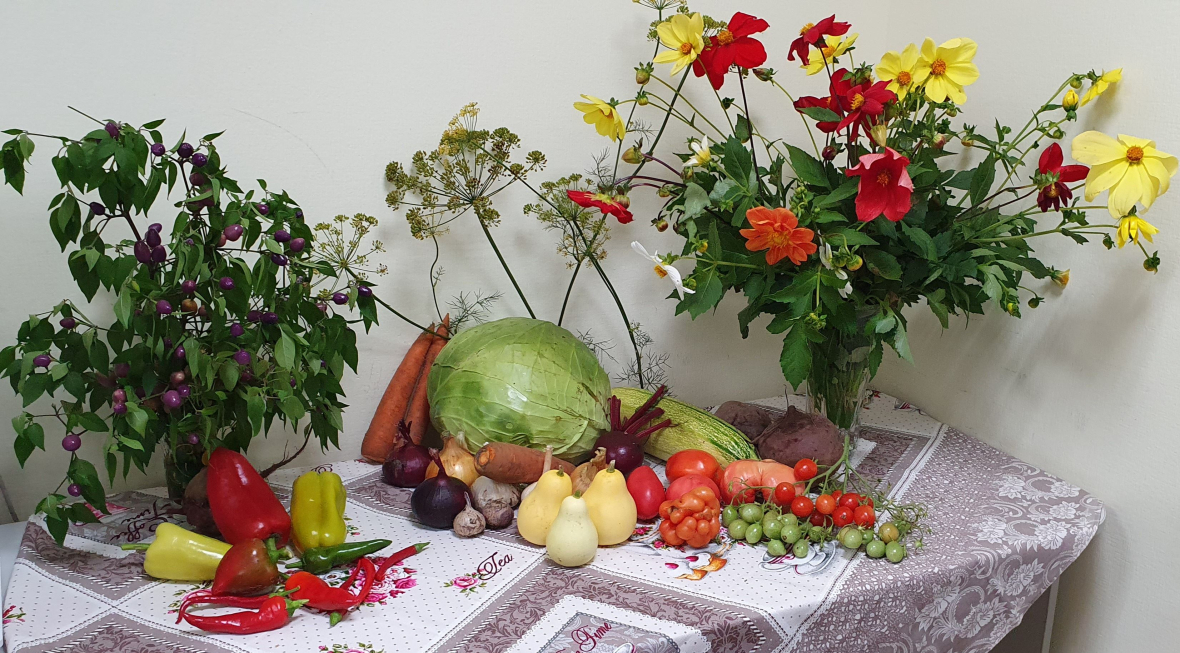 7.1. Негуца.jpg