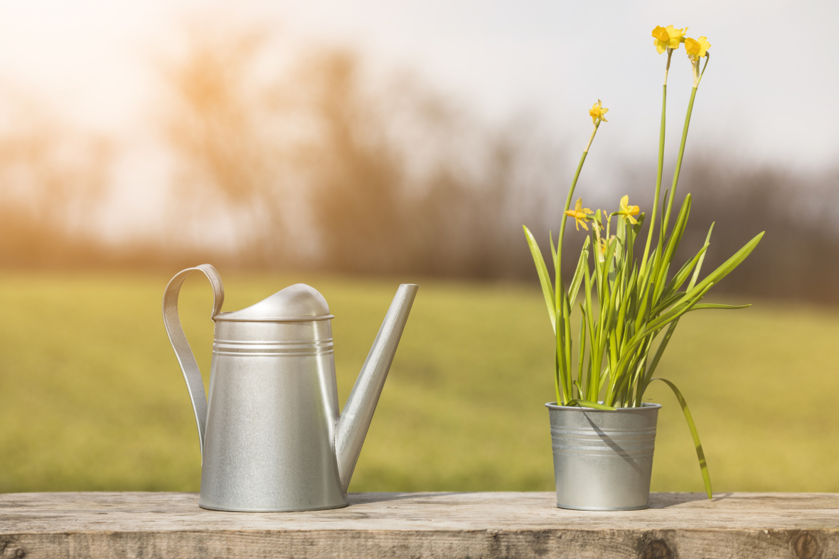 plant-garden-still-life.jpg
