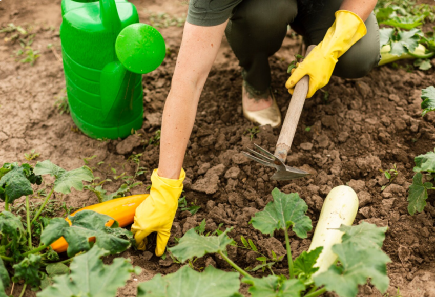 2026-03-30_10-04-59 копия.png