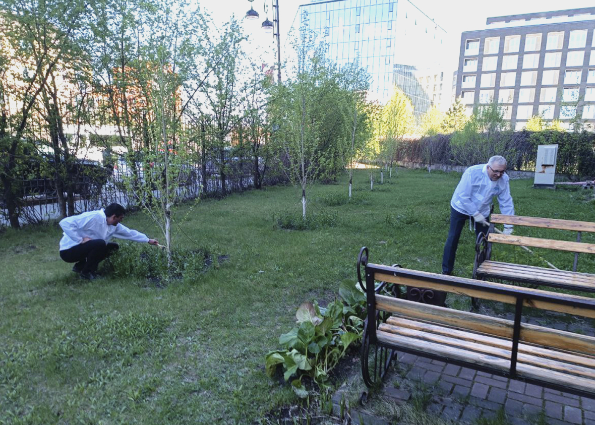 В Тюмени побелили деревья.jpg