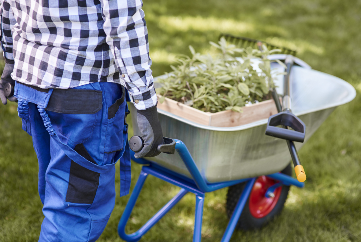 unrecognizable-man-psushing-wheelbarrow-full-seedling.jpg